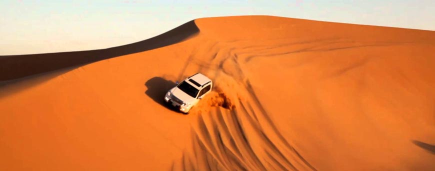 Evening Desert Safari